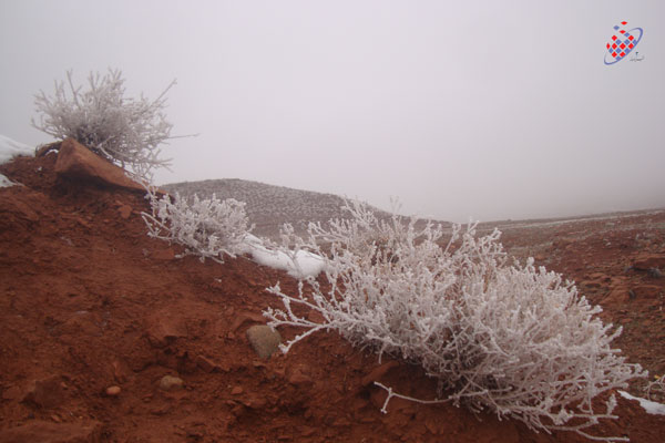 Eynali - Tofigh Vahidi azar  - Winter -Tabriz-  توفیق وحیدی آذر